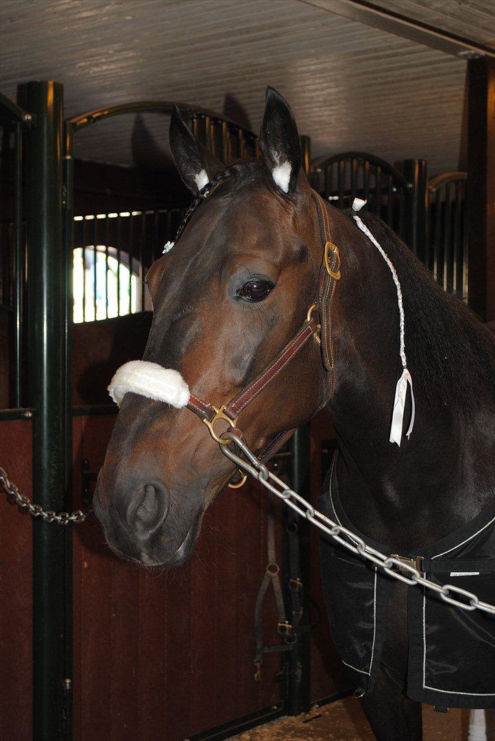 Traver One Hot Minute billede 1