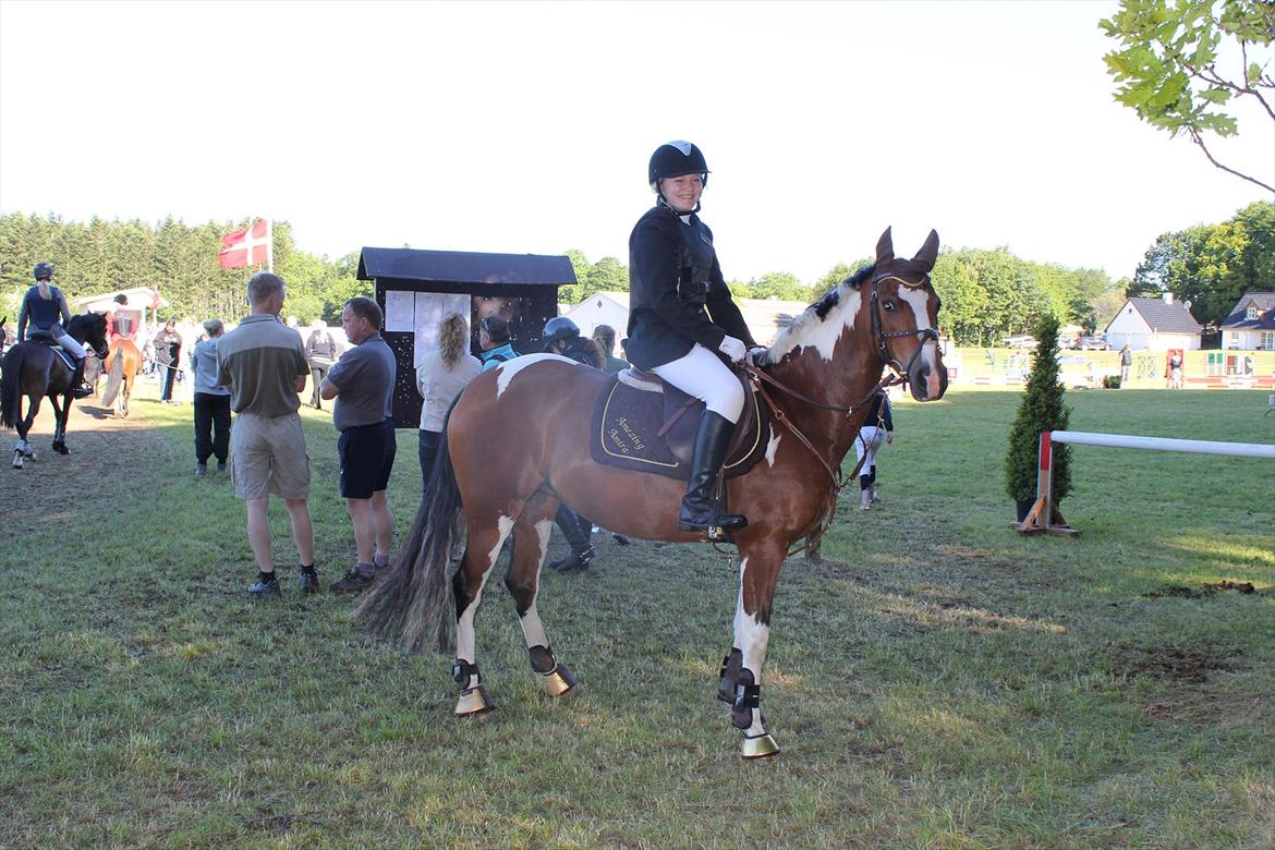 Hollandsk Sportspony Amezing Amira Distriktsmester 2013 - amira ser forskrækket ud:) billede 4