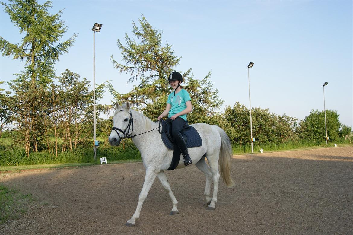 Anden særlig race Bob - Min elskede bassemand :-D billede 19