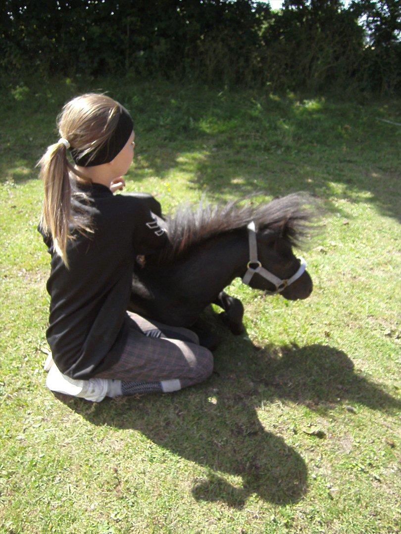 Anden særlig race Standgaardens Lucas. billede 9