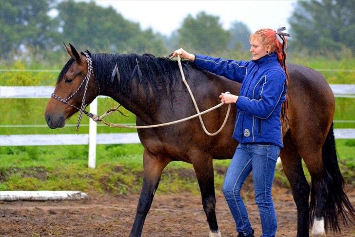 Anden særlig race Alandra - Alandra og jeg til Hestevelfaerd.dk's stævne. Fotograf: June Wehlast. billede 4