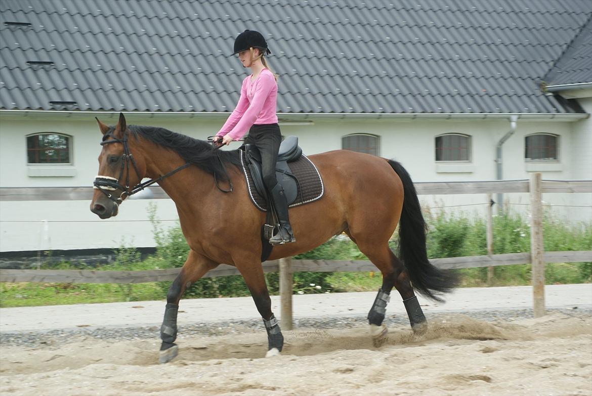 Anden særlig race lucky  billede 2