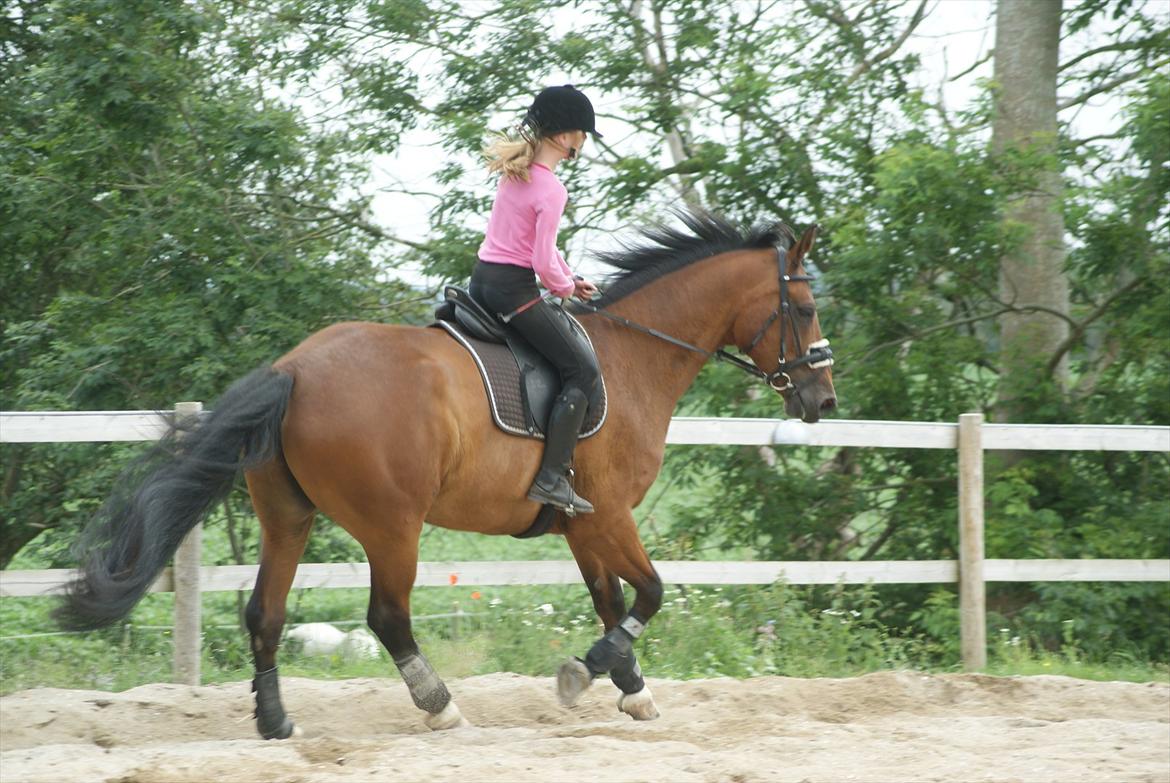 Anden særlig race lucky  billede 4