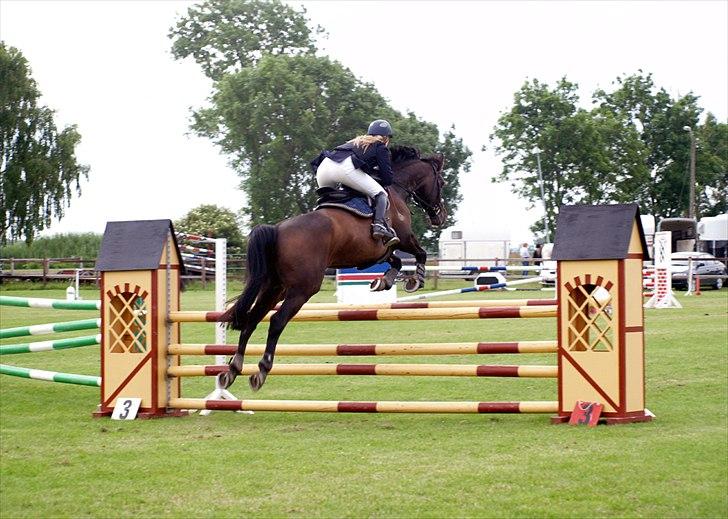 Dansk Varmblod | Cayenne - *4* LB på Allerupgaard. Foto: Min lillesøster billede 4