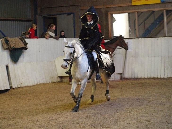 DSP Madeleine<3 - Elsker den pony! :b billede 4