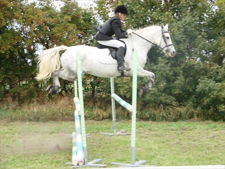 DSP Madeleine<3 - Maddy! :D billede 5