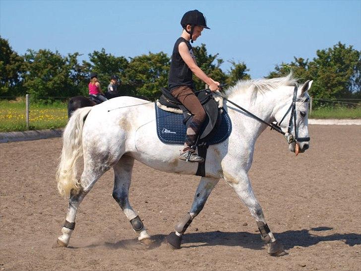 DSP Madeleine<3 - Magnus og Maddy til ridelejer! :) billede 6