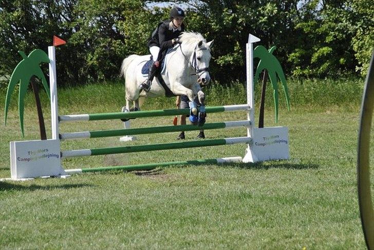 DSP Madeleine<3 - Løgstør stævne! :D billede 11