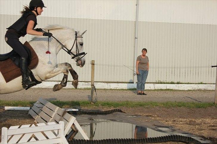 DSP Madeleine<3 - Undervisning! :D  billede 13