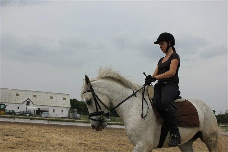 DSP Madeleine<3 - Dressur undervisning ;) billede 16