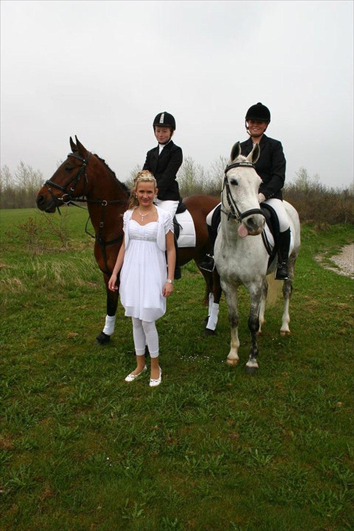 DSP Madeleine<3 - Elsker de ponyer! :-**<3 billede 19