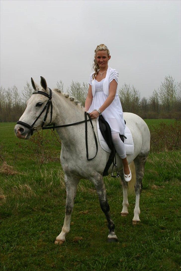 DSP Madeleine<3 - Velkommen til Maddy's profil <3 billede 1