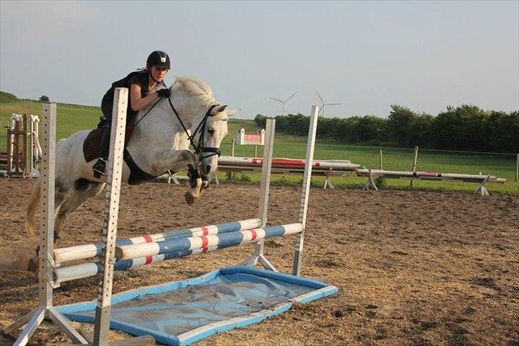 DSP Madeleine<3 - Undevisning :p billede 20