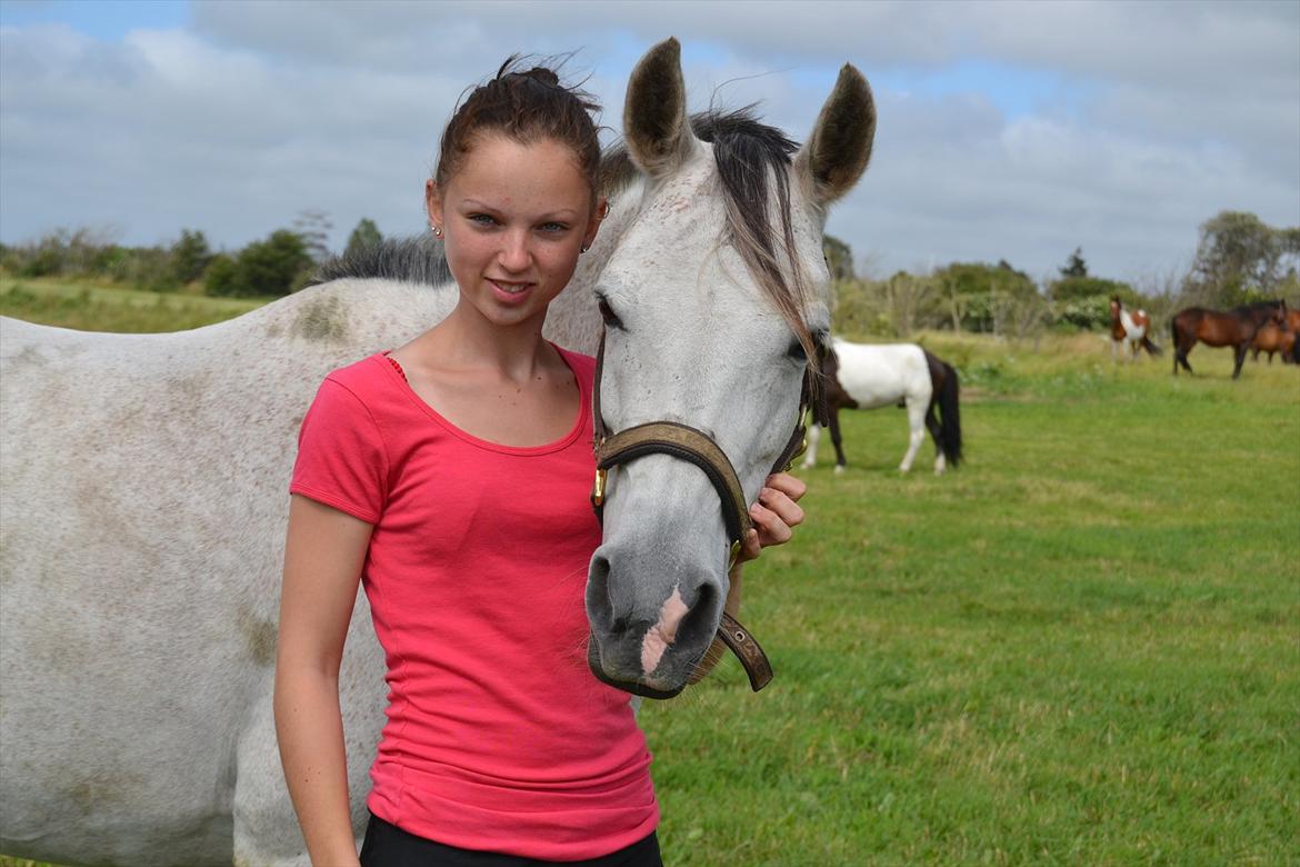 Arabisk fuldblod (OX) Faytima(solgt) - Sommeren 2011<3 billede 1