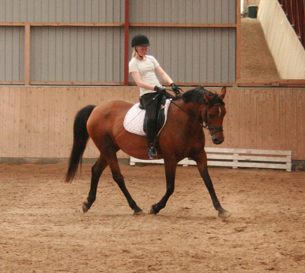 DSP Malou - # 10 Elsker hendes trav :P billede 10