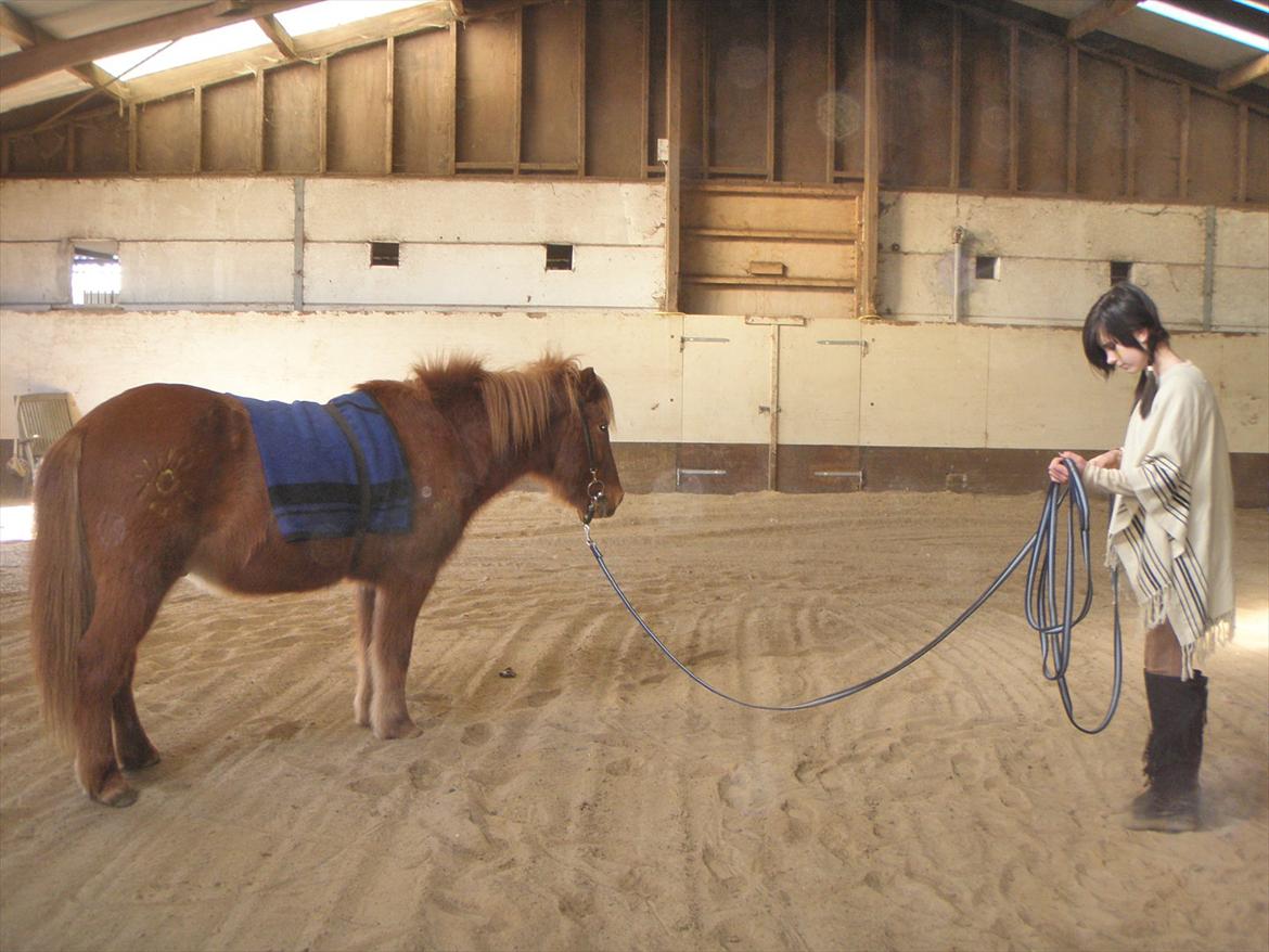 Islænder BLOSSI FLINTERUP - Fastelavn 2011! billede 7