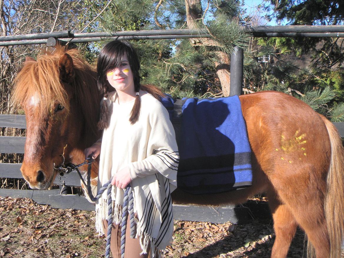 Islænder BLOSSI FLINTERUP - Fastelavn 06/02- 2011 billede 8