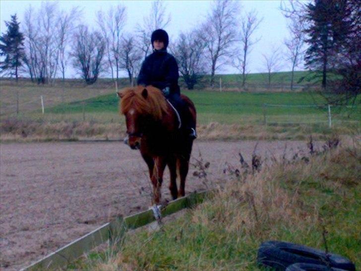 Islænder BLOSSI FLINTERUP - Anden gang jeg rider Blossi. 2007. billede 14