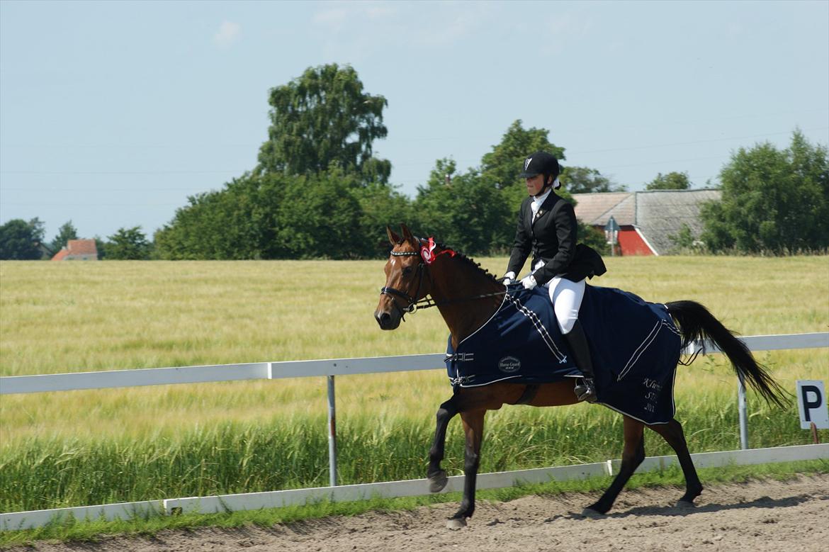 Dansk Varmblod Leuth Of Atlantic - Klubmetser hest dressur 2011. Foto: anja tærsker billede 17