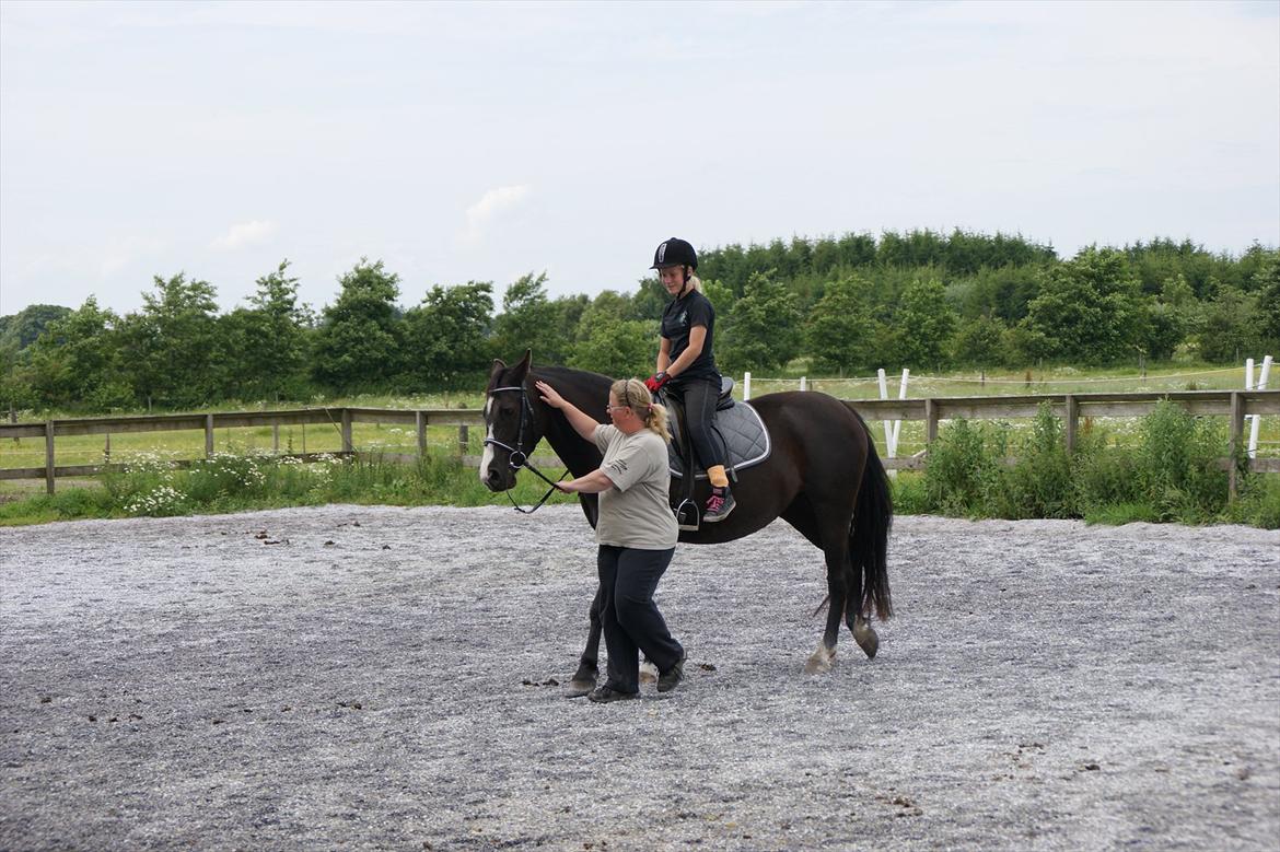 Anden særlig race Anemonens Gipsy Queen - 09 juli 2011 billede 6