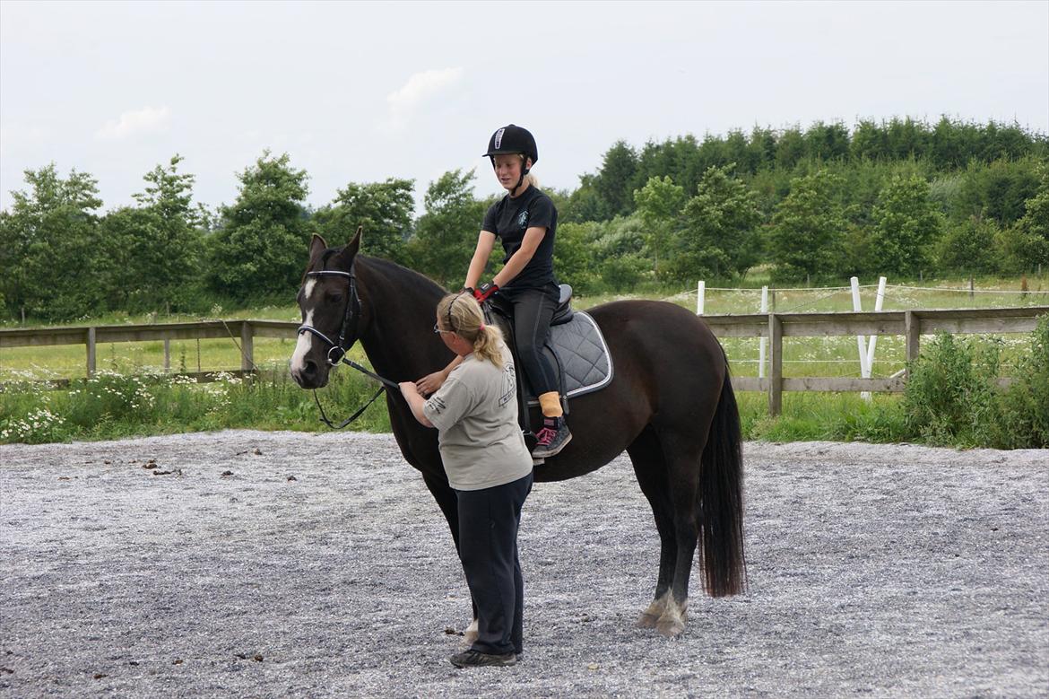 Anden særlig race Anemonens Gipsy Queen - 09 juli 2011 billede 7