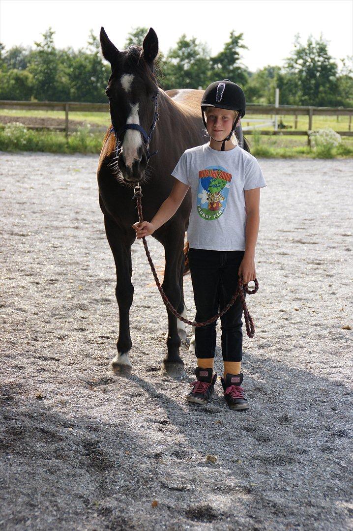 Anden særlig race Anemonens Gipsy Queen - 07 juli 2011 billede 15
