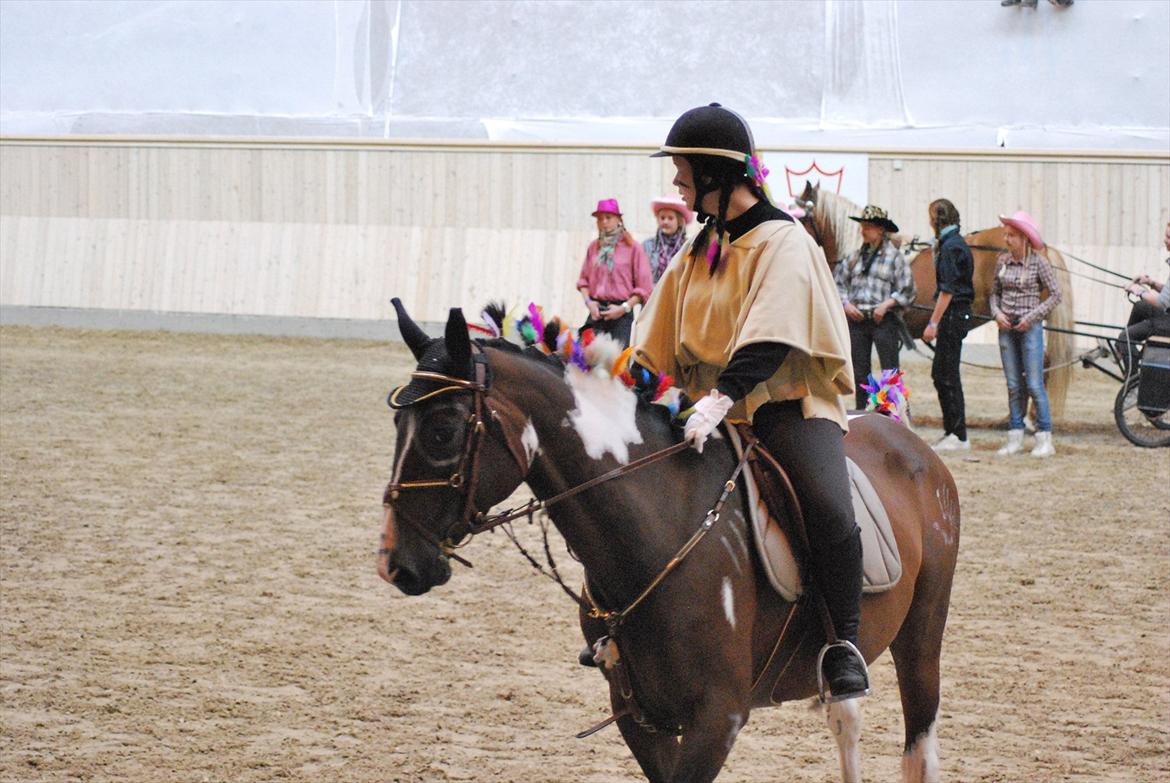 Pinto Great-Vikings Indiana (skinkedyret) - indianer indi på vilhelmsborg 2011 lille hodder i bagrunden :)
- taget af Anita Rasmussen billede 12