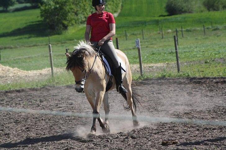 Anden særlig race Moonlight<3 - dressur 2011 <3
fotoggraf nanna rafn:D billede 18