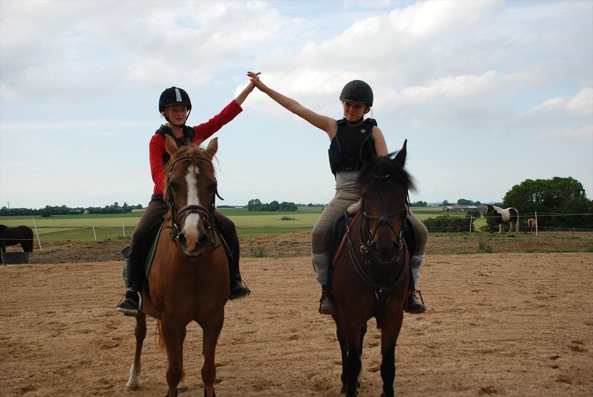 DSP Verdens bedste NYHOLM´S JUNIPER<3 - Aia&Flach-Sabrina&Juniper VBGH et godt team billede 10