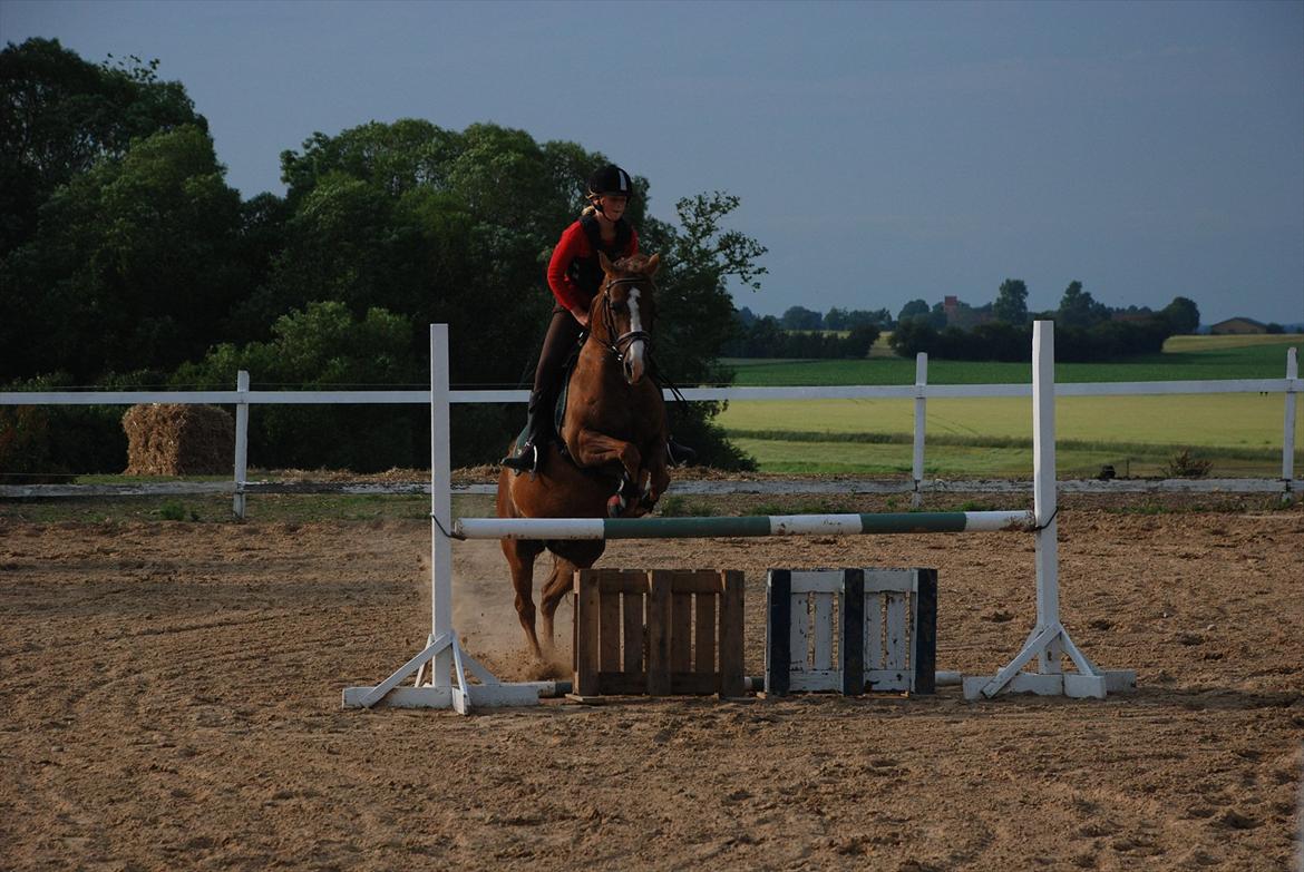 DSP Verdens bedste NYHOLM´S JUNIPER<3 - (;. Dejlig pony billede 11