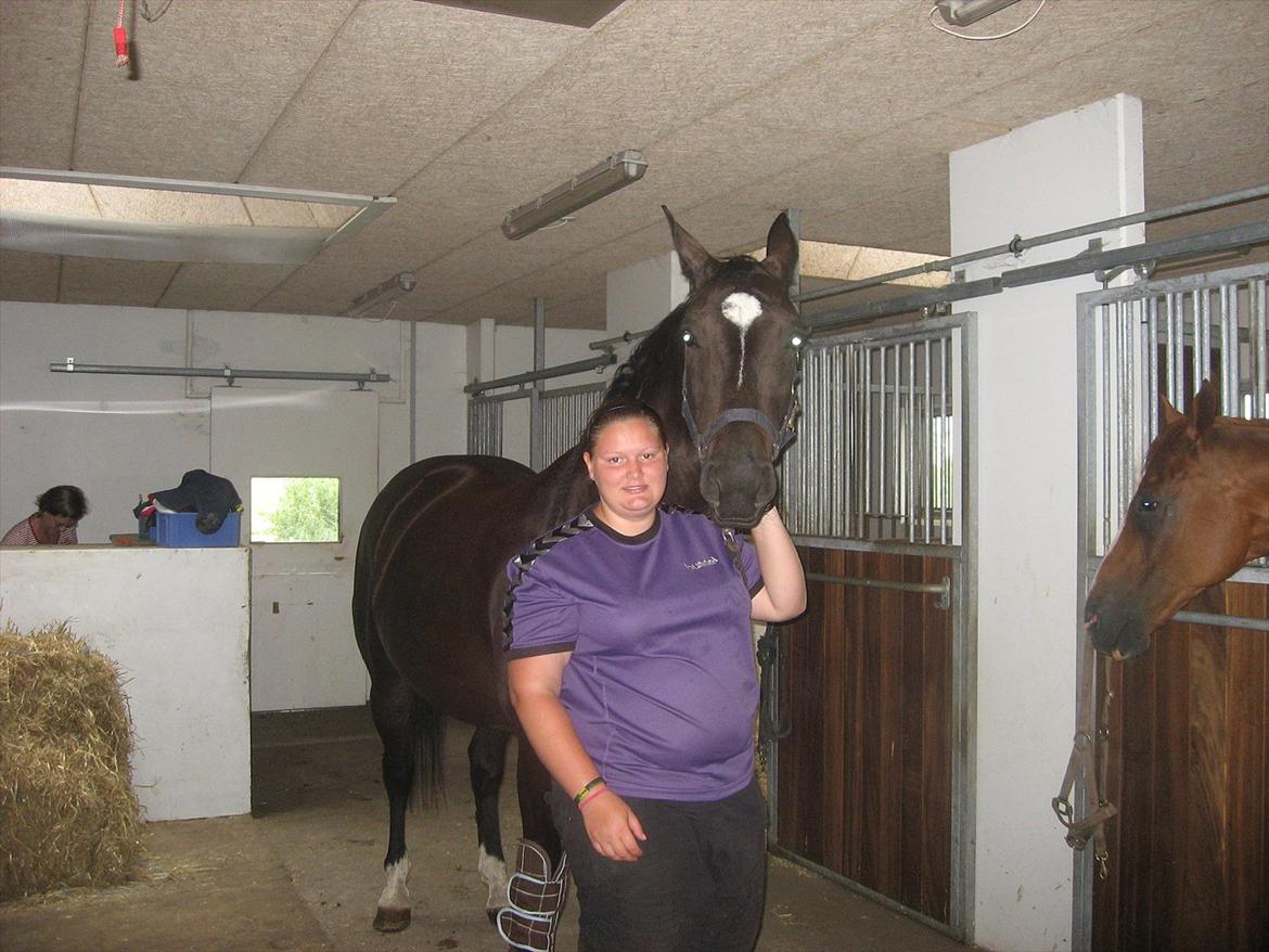 Anden særlig race Kiki Dee billede 3