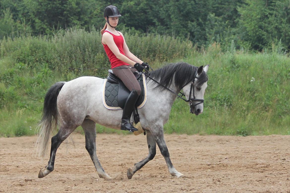 DSP Ida Søblink - Træning 4/7-2011 billede 12