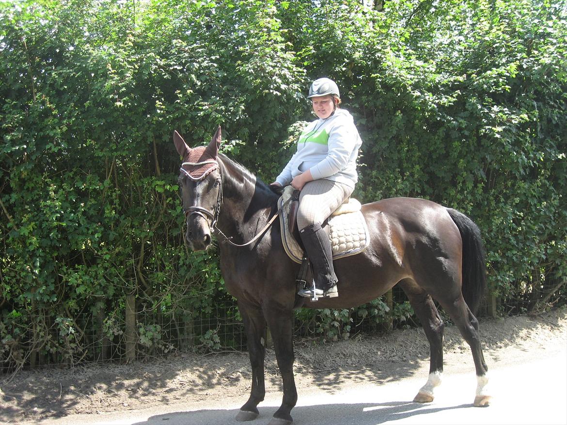 Anden særlig race Kiki Dee billede 5