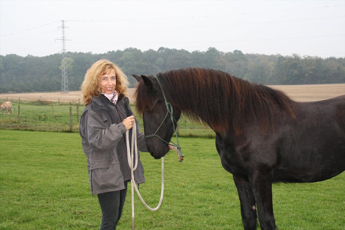 Frieser Fighter Kongsted - Trænnet lidt horsemanship  billede 13