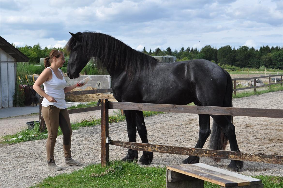 Frieser Fighter Kongsted - Juni 2011 sammen med Lone  billede 16