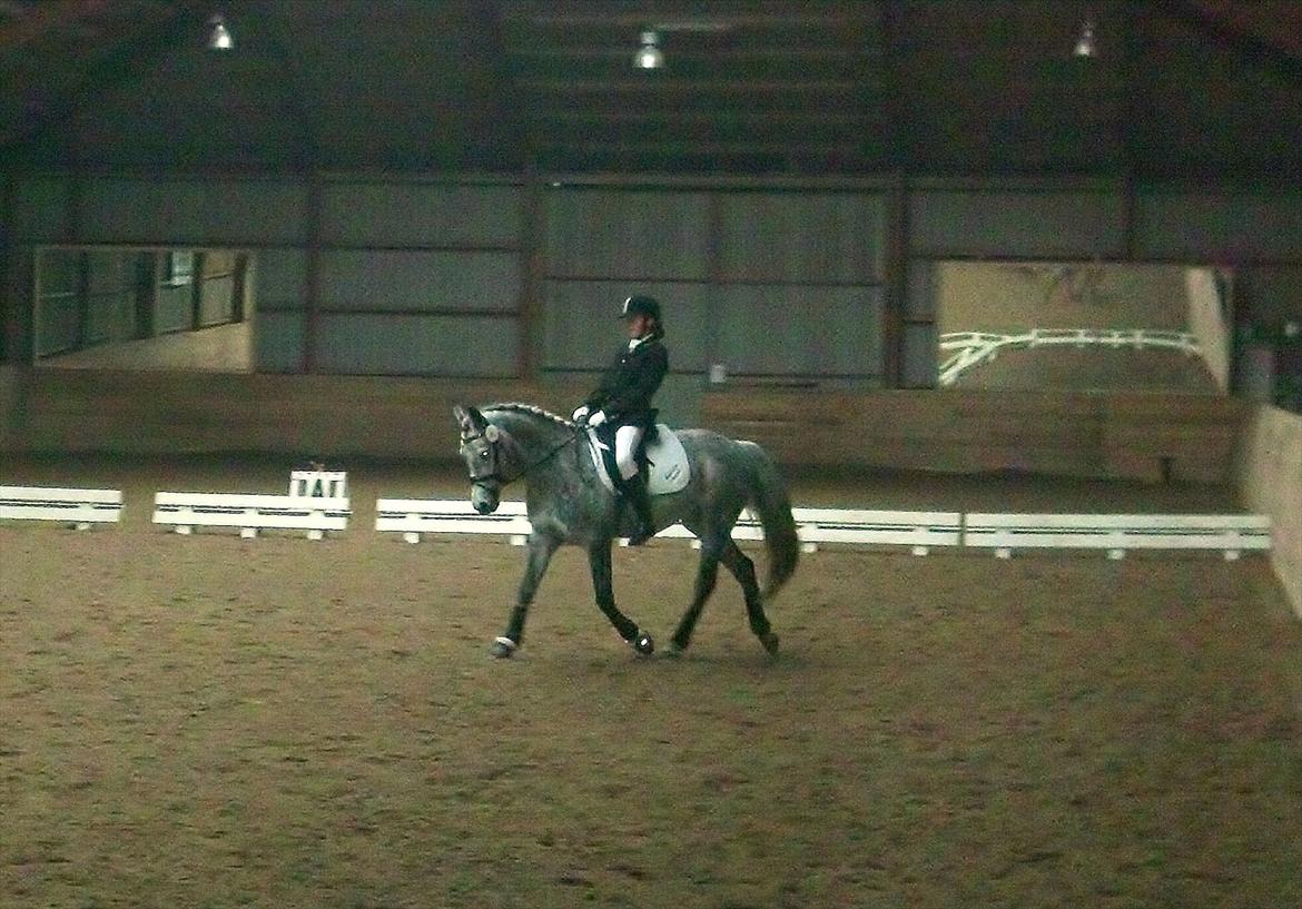 DSP Acia's Chanell billede 16