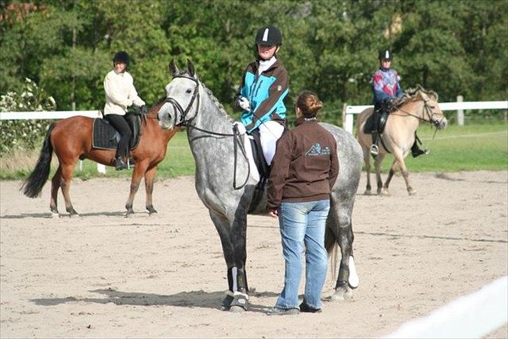 DSP Acia's Chanell billede 17