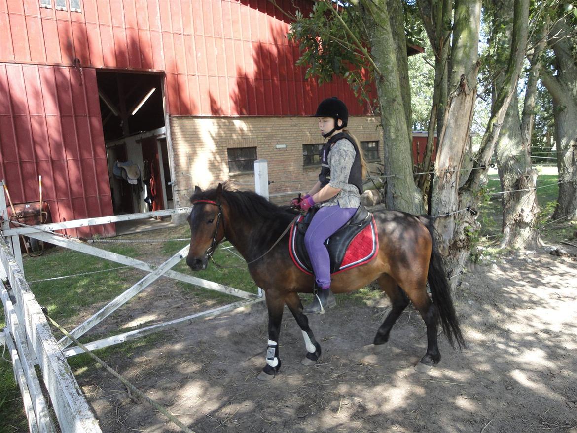 Anden særlig race toffie  - SMUKKE DU BETYDER ALT FOR MIG <33 billede 14