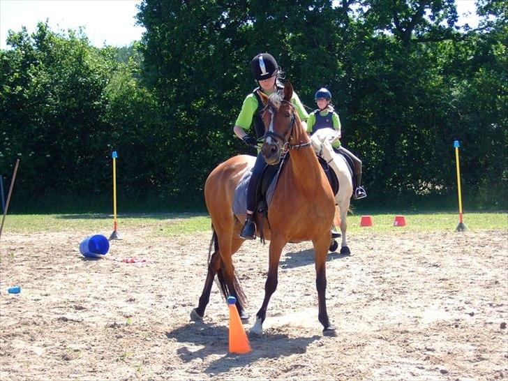 DSP Malou - Pony Games :)
 billede 5