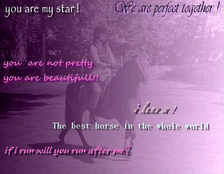 Anden særlig race toffie  - vores forhold kan ikk beskrives med ord men nu har jeg prøvet aflligevel :´) billede 16