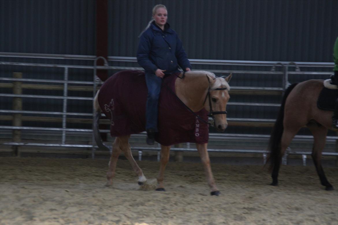 Quarter Codys Smart Peter billede 16