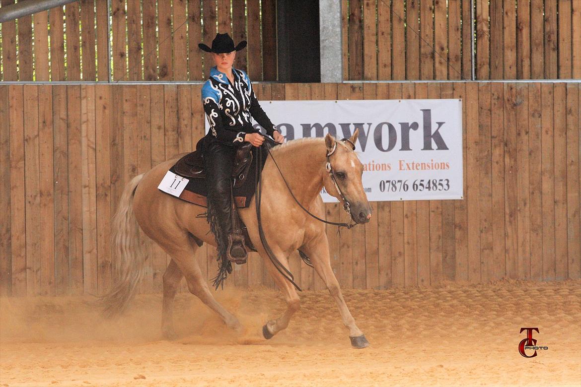 Quarter Codys Smart Peter billede 17