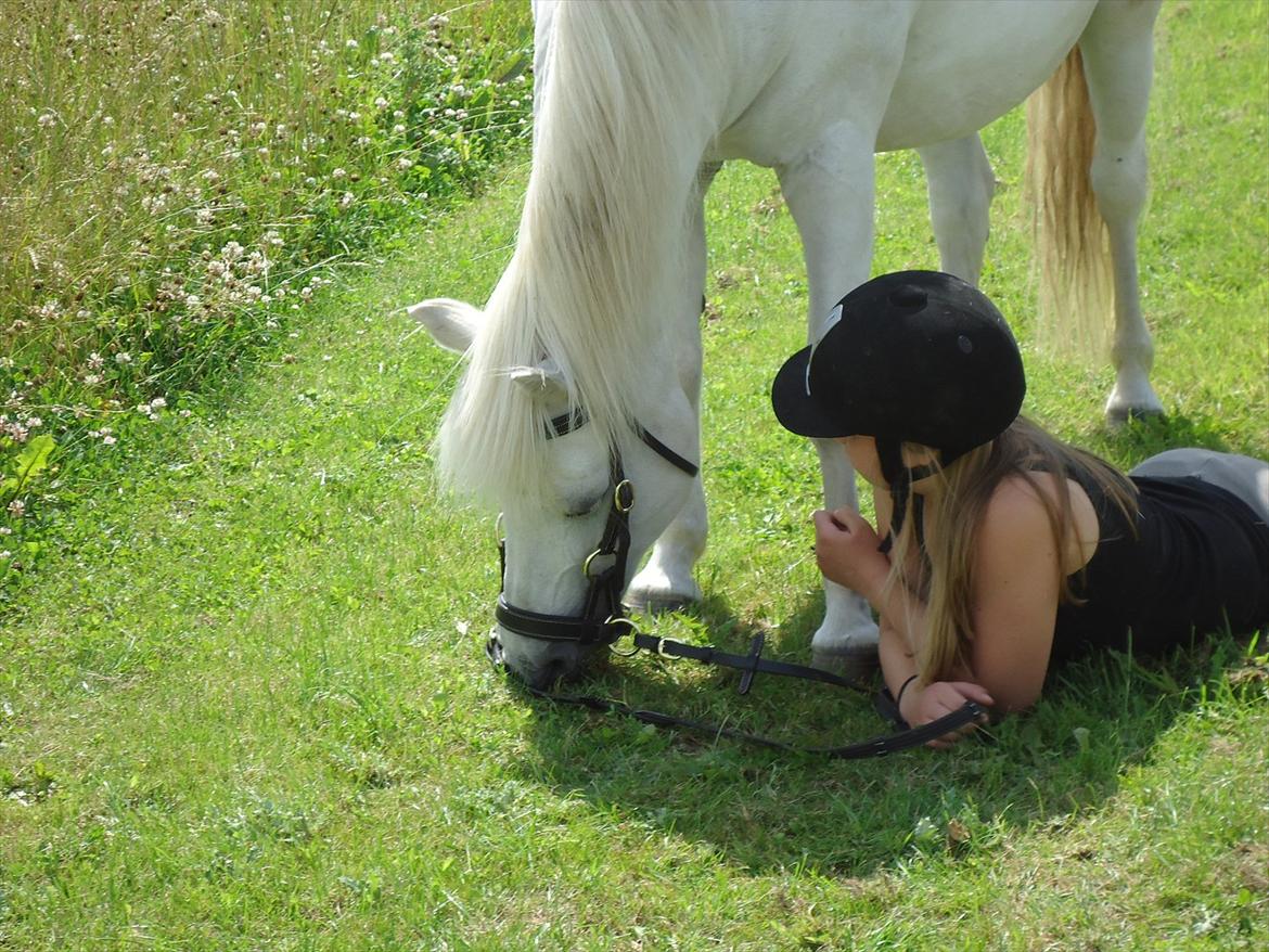 Anden særlig race Sissi <3 Solgt Altid elsket og savnet <3 - du betyder allermestaf alle!<3 
foto mor med mit kemara :D billede 4