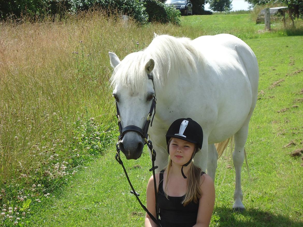 Anden særlig race Sissi <3 Solgt Altid elsket og savnet <3 - du er helt speciel!<3 
foto mor med mit kemara :D billede 5