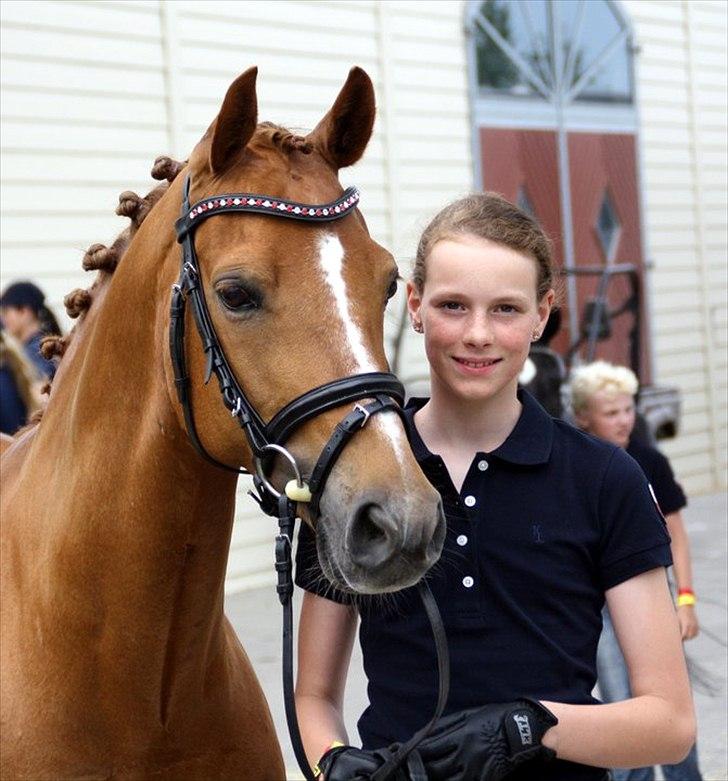 Hollandsk Sportspony Lasco A-pony  (SOLGT)  - mig og lasmus <3! billede 13
