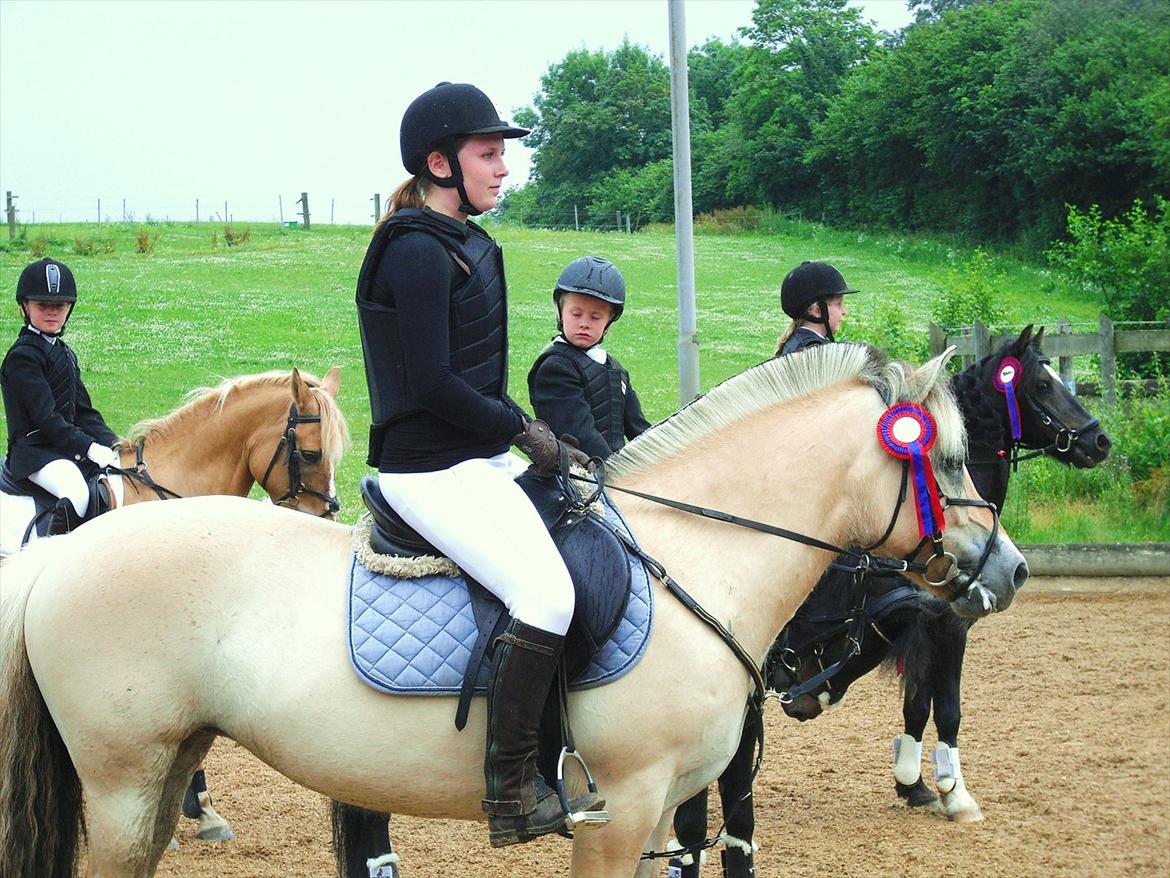 Fjordhest Lady - LadyDyret<3 ;b - 3) Så fik Lady og jeg to rosetter! Jeg blev ret stolt! billede 3