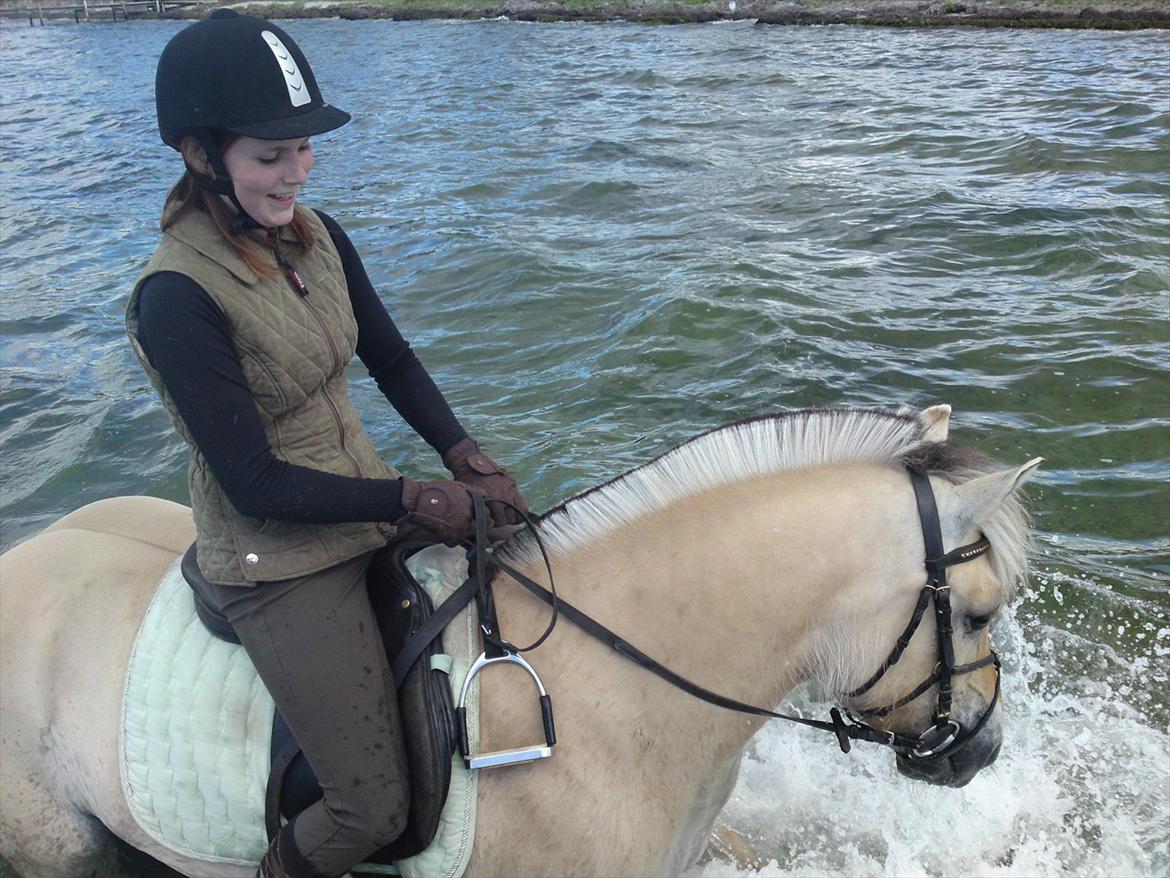 Fjordhest Lady - LadyDyret<3 ;b - 6) Ude i det friske hav! :-D billede 6