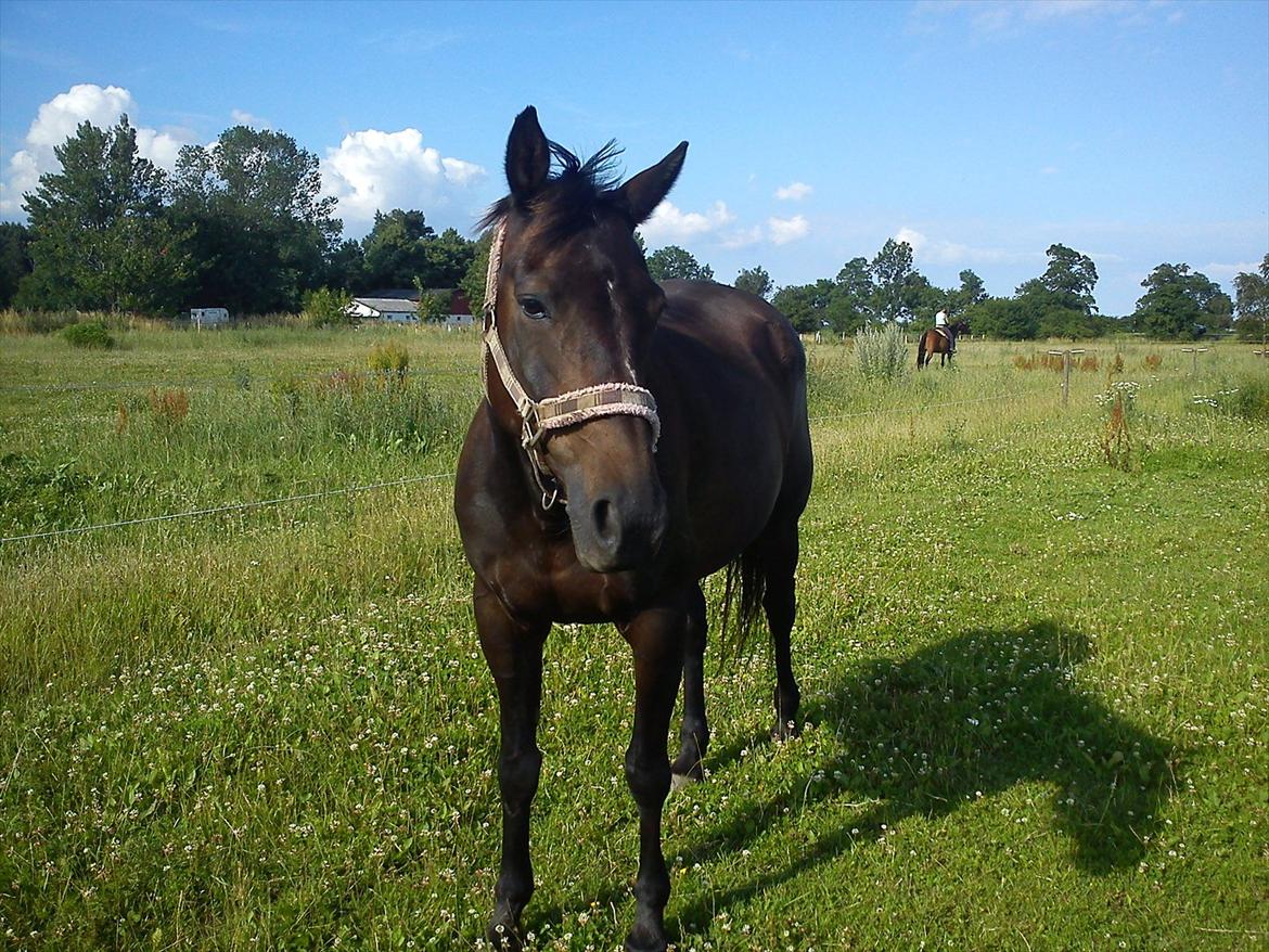 Traver Missey <3 billede 5