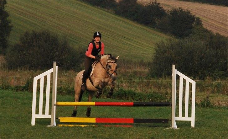 Fjordhest Lady - LadyDyret<3 ;b - 11) Spring træning. billede 11