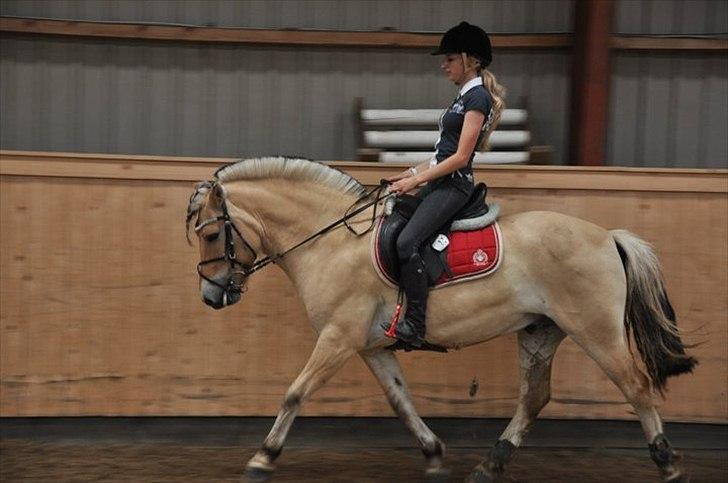 Anden særlig race Cognac - Foto: Claus Steen billede 16